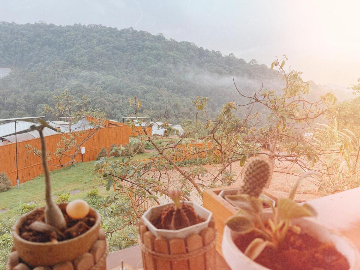 Phu Morinn Camping ม่อนแจ่ม Mon Jam Bagian luar foto
